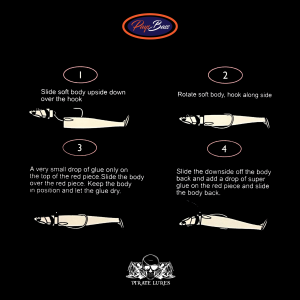 JJ Minnow Bodies Diagram